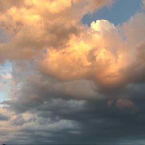 Meet your Posher, Jodi